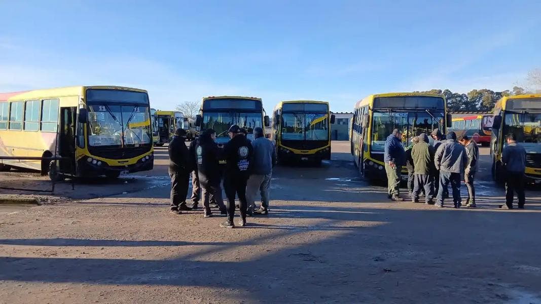 Mientras el Concejo debate sobre maltrato animal, Necochea está al borde de quedarse sin colectivos