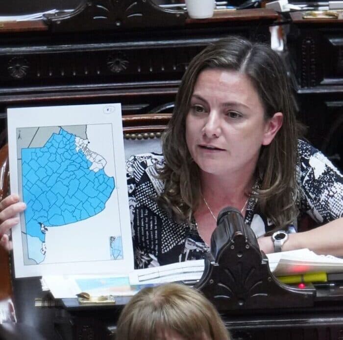 Zona Fría: así votaron los diputados bonaerenses en una ley que impactará sobre más de un millón de usuarios