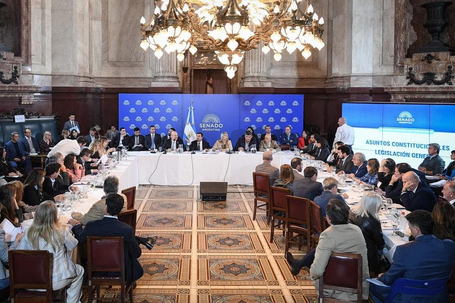 Senadores radicales frenan el proyecto de reforma electoral y rechazan las colectoras