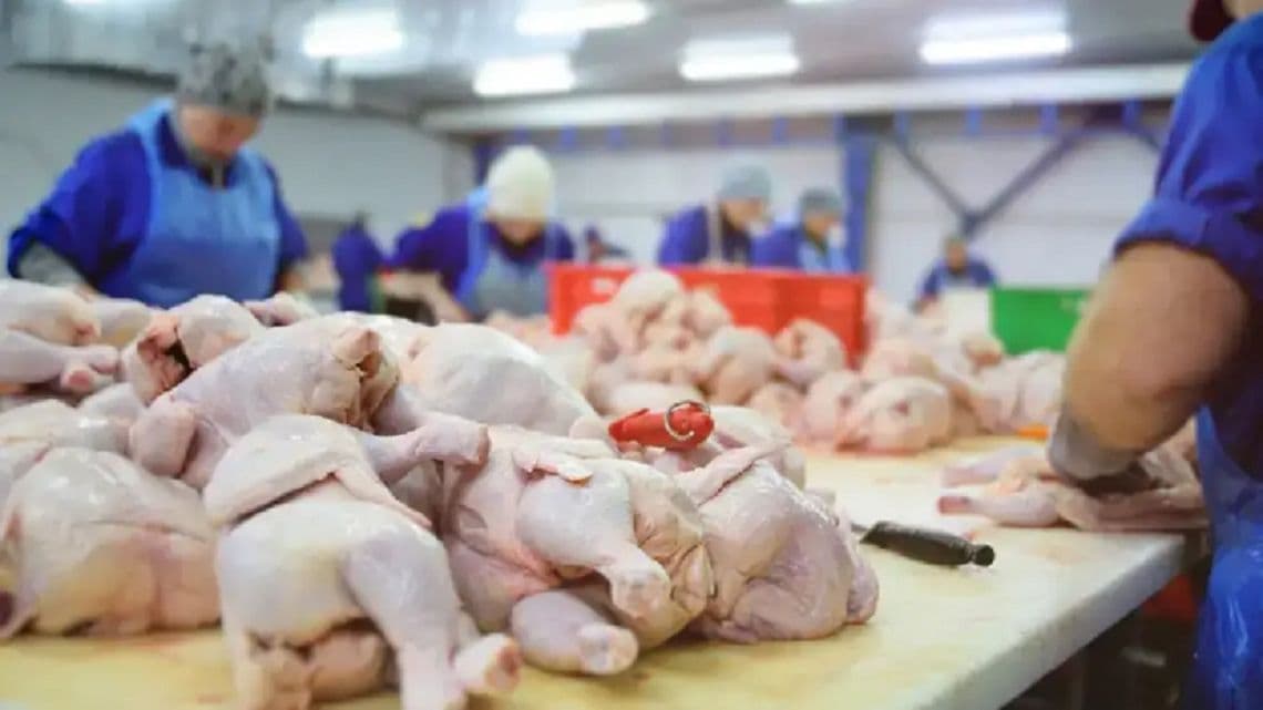 El pollo desplazó por primera vez a la carne vacuna como la proteína más consumida por los argentinos