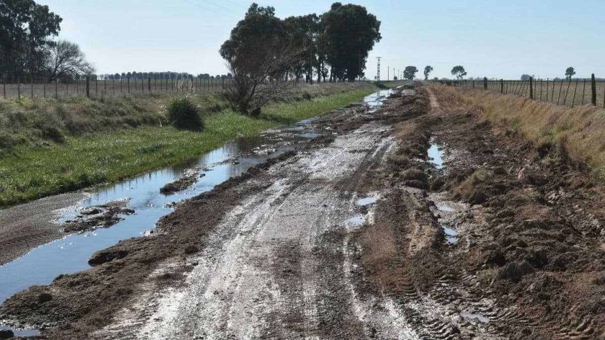 Mantenimiento de caminos rurales: ingenieros exigen planificación profesional ante la transferencia a productores
