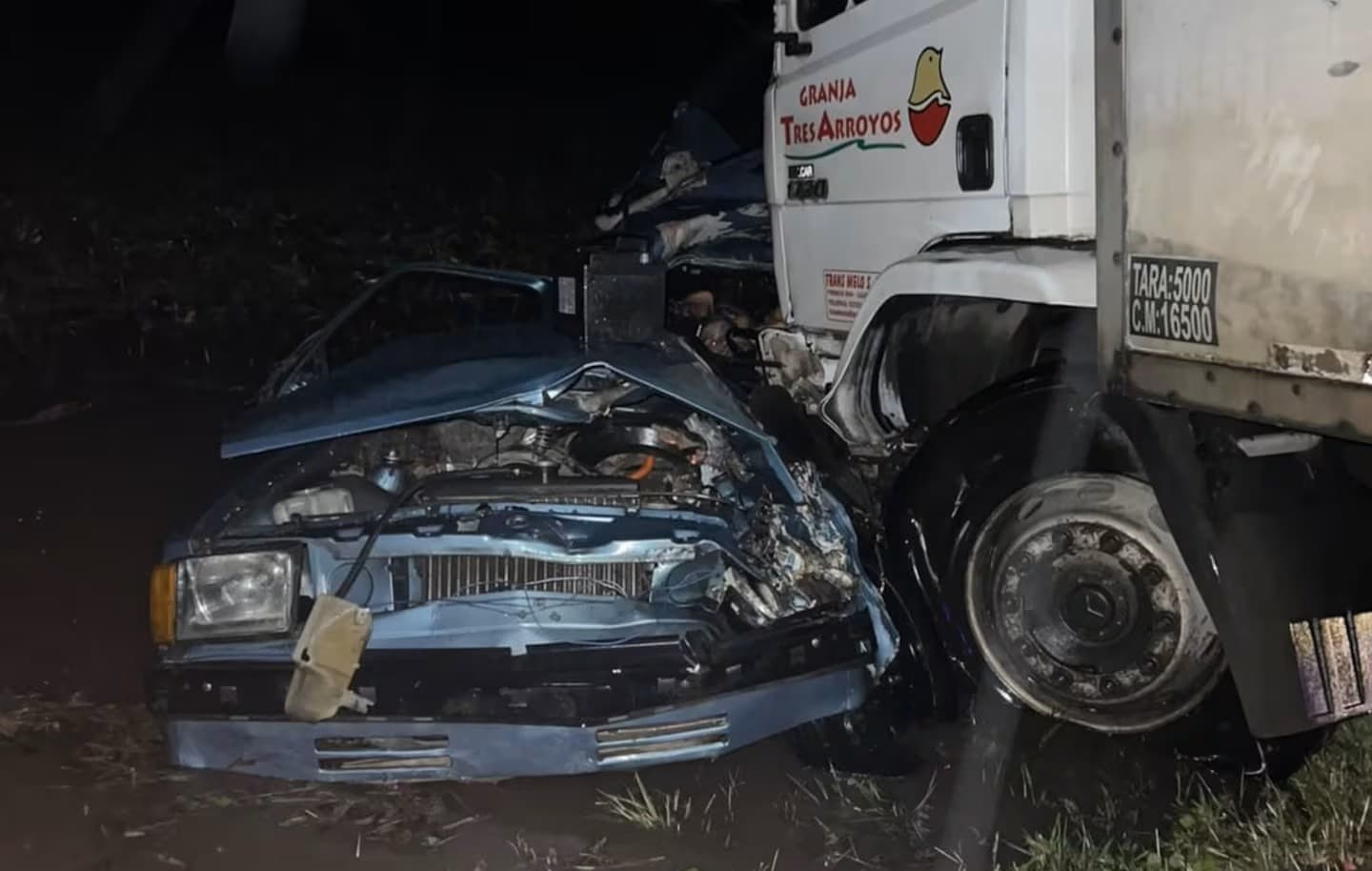Tragedia en Exaltación de la Cruz: siete muertos tras un choque frontal entre un auto y un camión