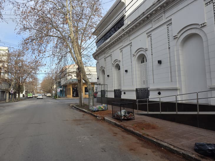 La polémica por la extracción de árboles frente al Colegio de Abogados llegó al Concejo