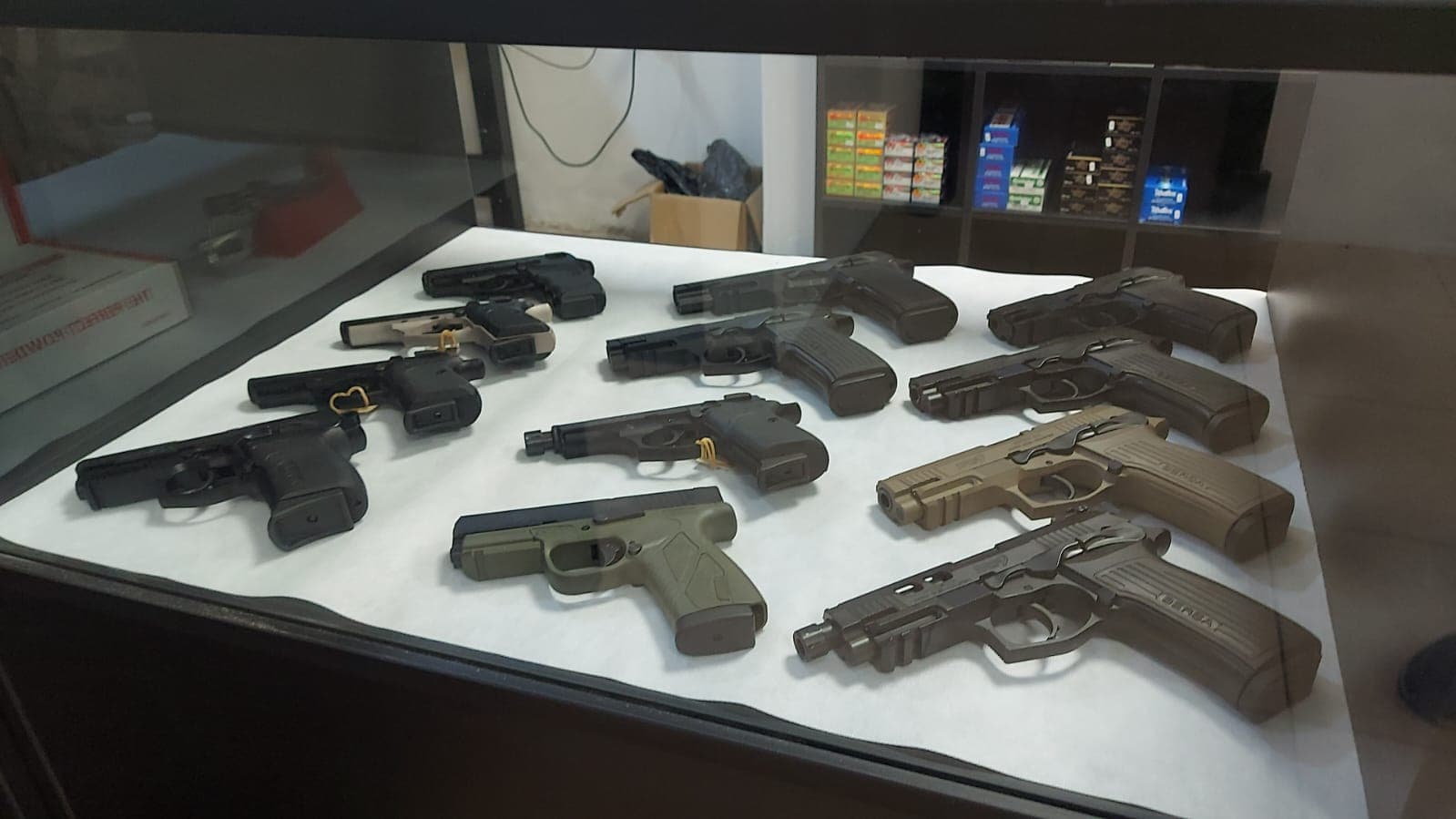 Creció hasta 40 por ciento la venta de armas en Mar del Plata: cada vez más personas buscan protección en sus casas