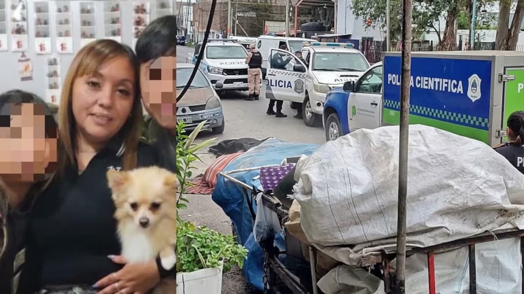Otro atroz femicidio: una mujer fue asesinada de más de diez puñaladas por su pareja