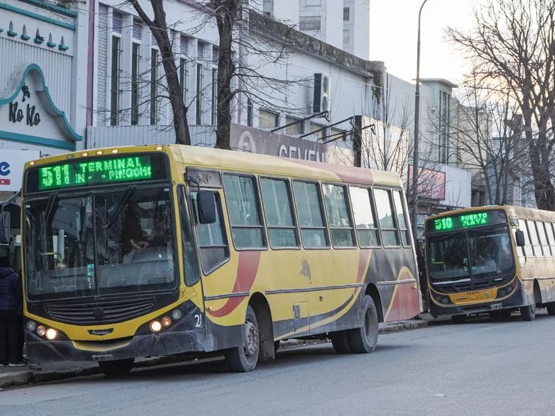 Aprobaron el pliego para concesionar el servicio de colectivos